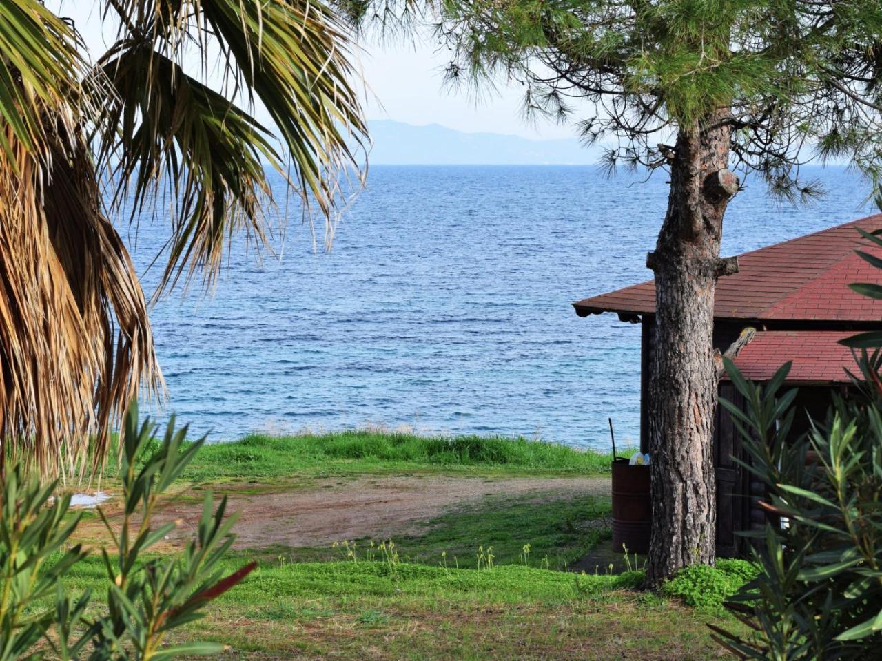Fantasea View By Travelpro Services Nea Fokaia Halkidiki Exteriör bild